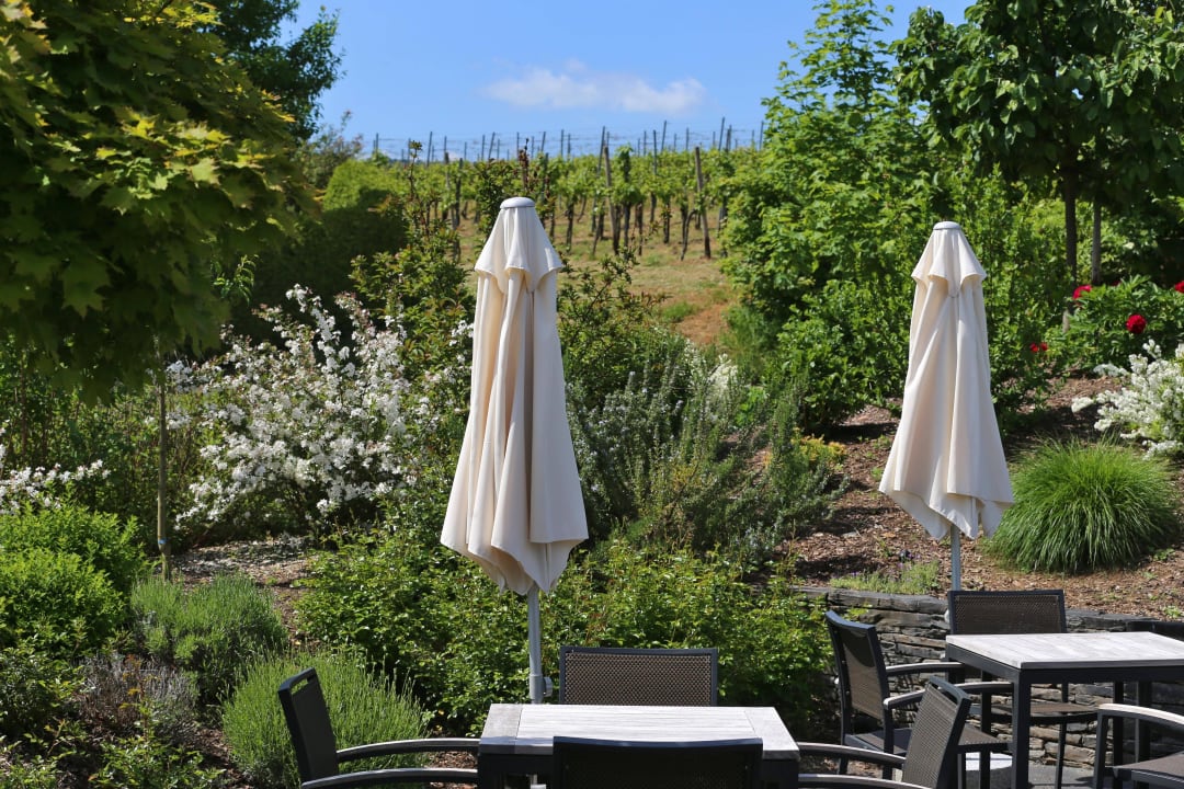 Sonnenterrasse Guesthouse Weinhotelchen