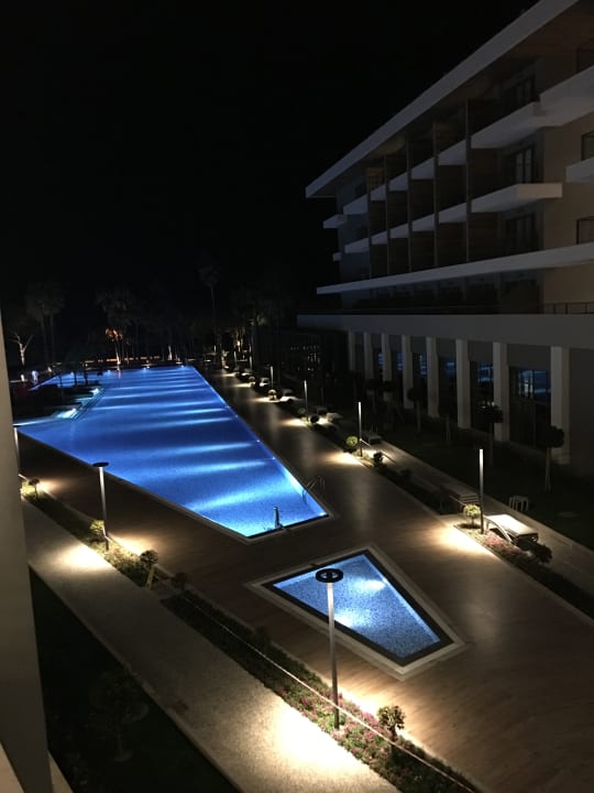 Pool Acanthus Cennet Barut Collection