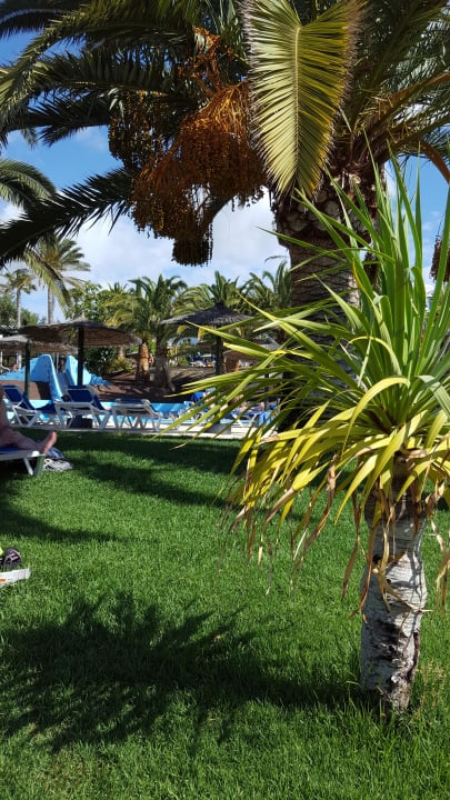  Blick zum Kinderpool allsun App.-Hotel Esquinzo Beach