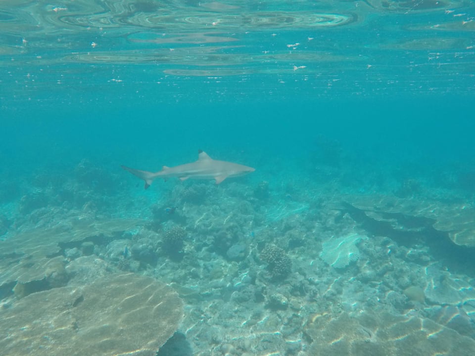 Hai Kuramathi Maldives