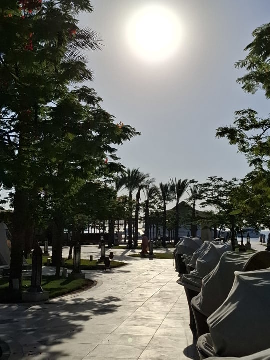 Strand The Grand Palace - Adults only