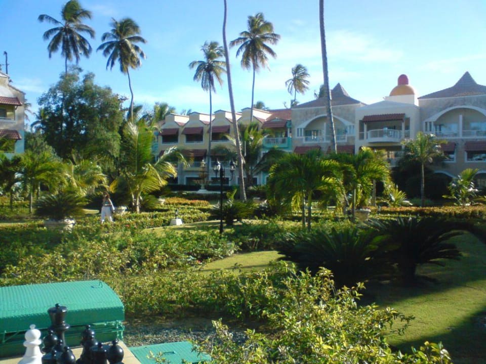 Blick in den Garten TRS Turquesa Hotel - Adults only