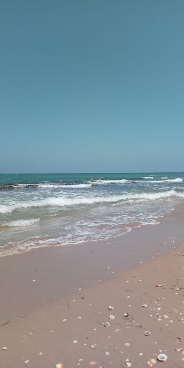 Strand Arycanda Kirman Premium