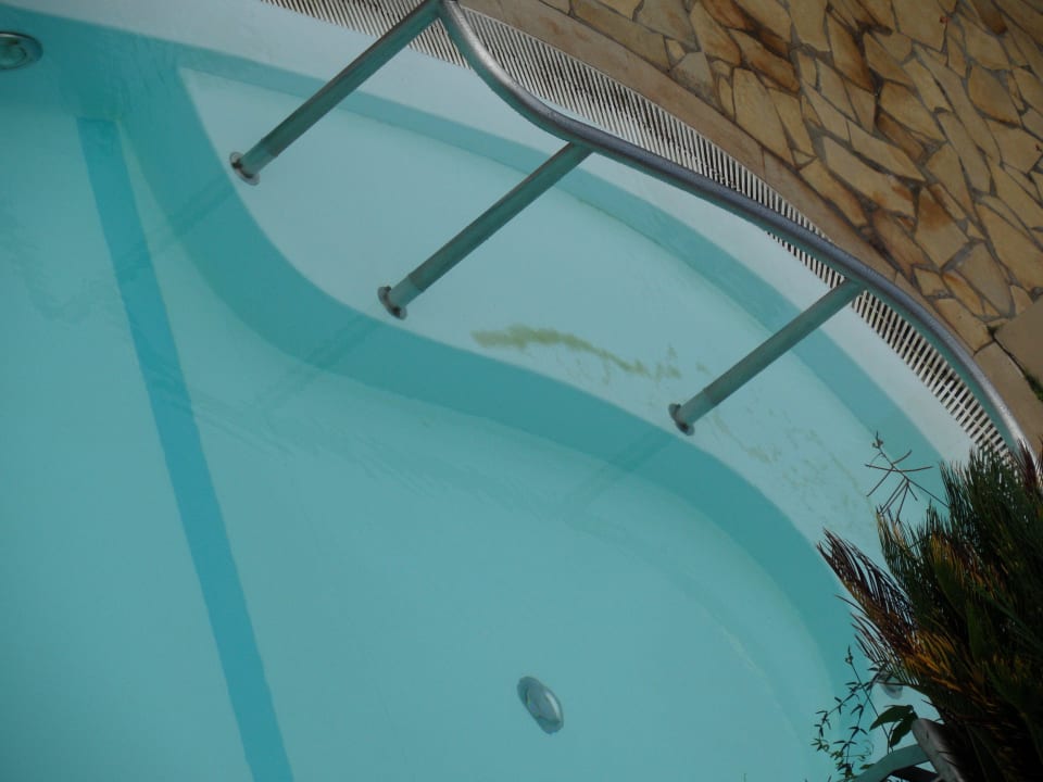 Sand/Dreck im Pool Quinta Funchal Gardens - Adults Only