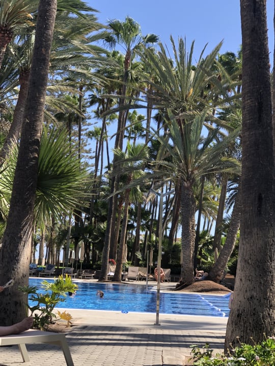 Pool Hotel Riu Palace Oasis