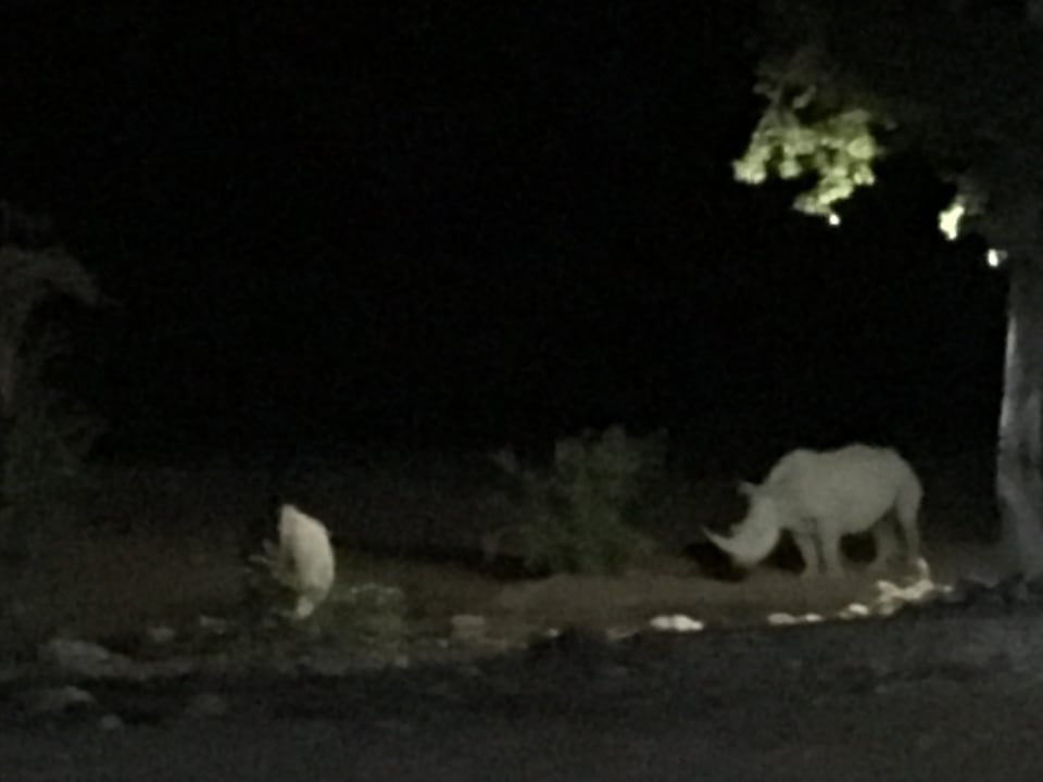 Sport & Freizeit Ongava Tented Camp