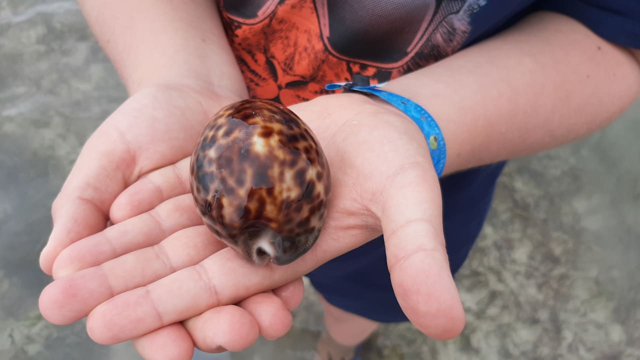 Sonstiges Neptune Palm Beach Boutique Resort & Spa