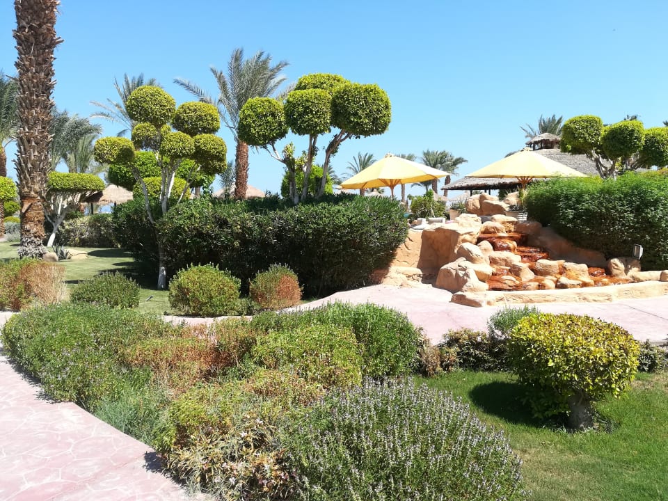 Gartenanlage Lotus Bay Beach Resort