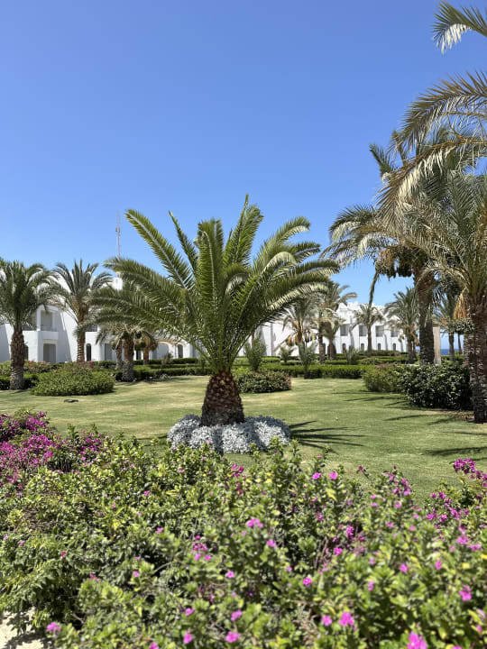 Gartenanlage Fantazia Resort Marsa Alam