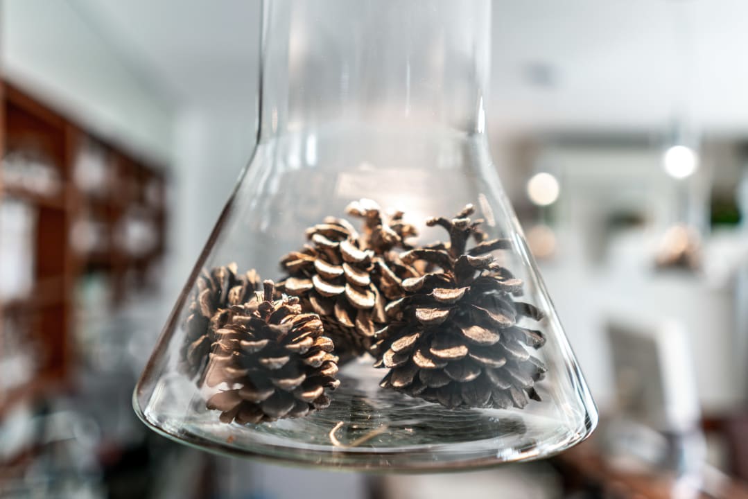 Gastro Binders Budget City-Mountain Hotel