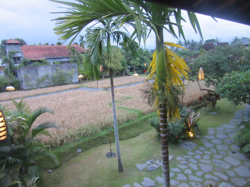 Außenansicht Ayu Guesthouse Ubud