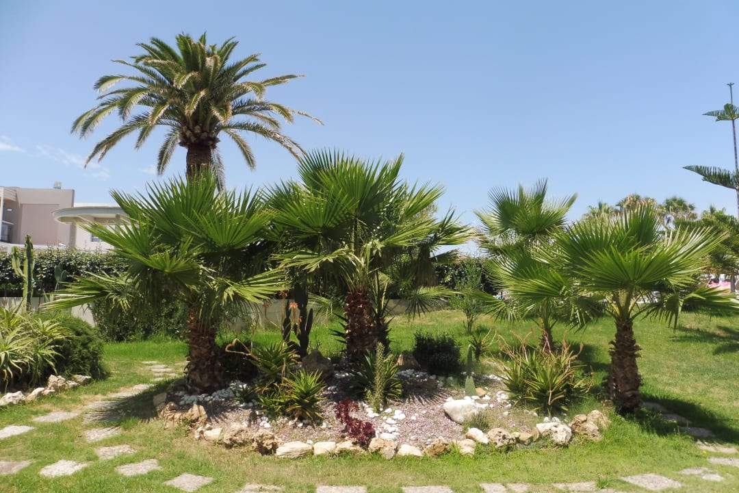 Gartenanlage Minos Mare Royal