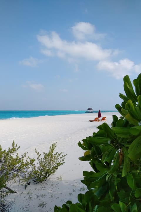Ausblick Hondaafushi Island Resort