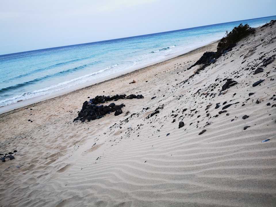 Strand TUI MAGIC LIFE Fuerteventura