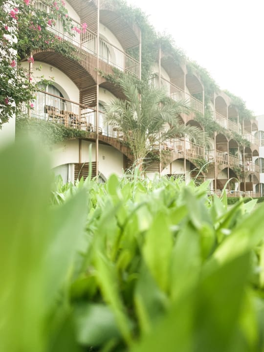 Außenansicht Desert Rose