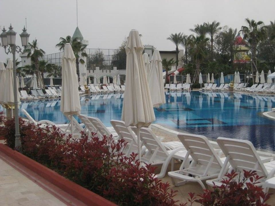 Pool Hotel Delphin Imperial