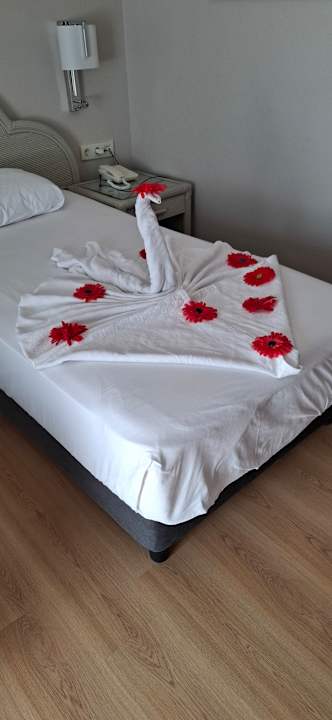 Zimmer Aska Hotel Just in Beach