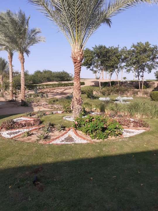Gartenanlage Steigenberger Makadi Hotel - Adults only