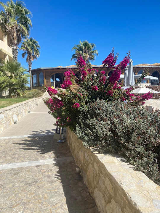 Außenansicht Hotel Kalithea Horizon Royal