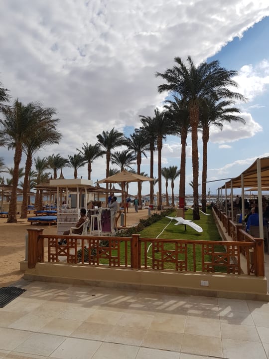 Außenansicht Beach Albatros Resort