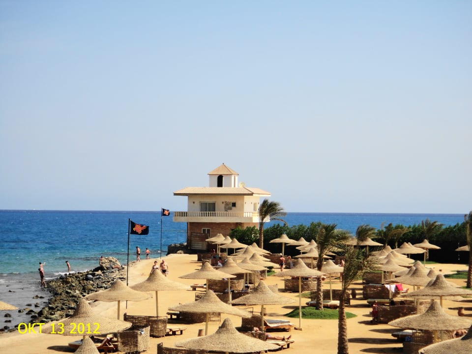 Пейзаж Desert Rose