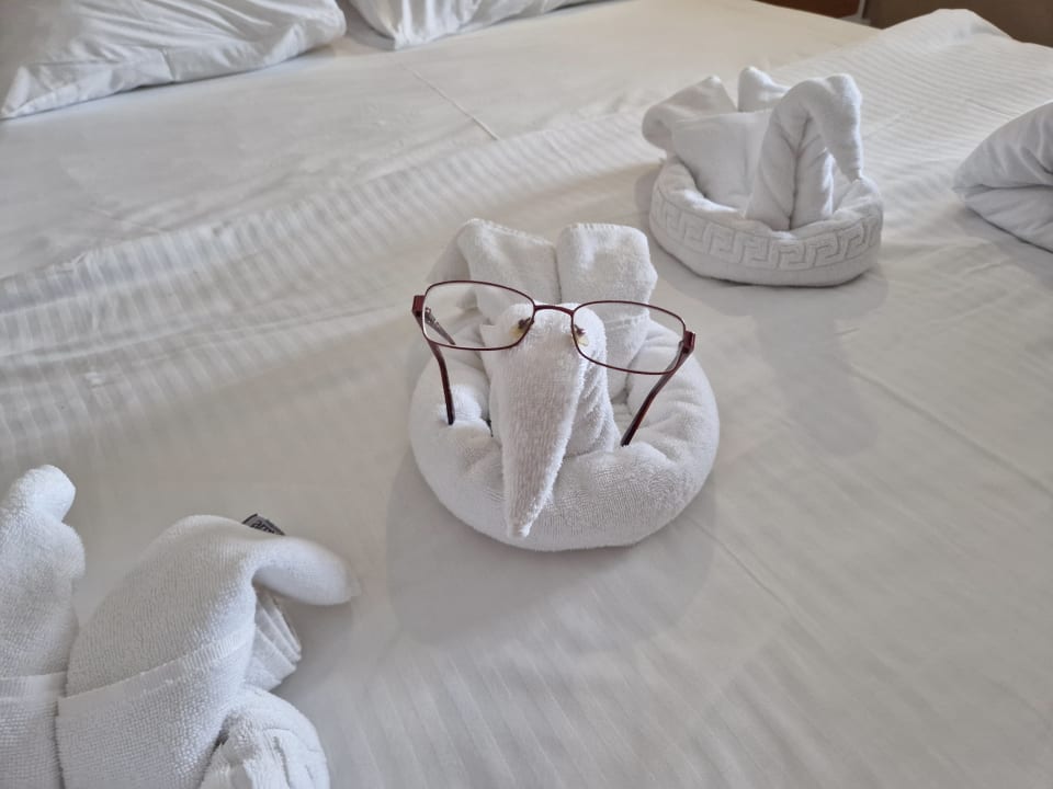 Zimmer TUI MAGIC LIFE Jacaranda