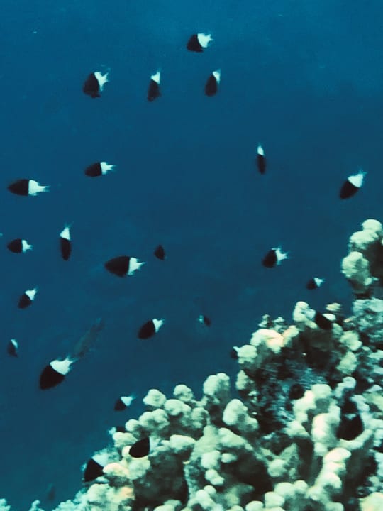 Strand Three Corners Happy Life Beach Resort