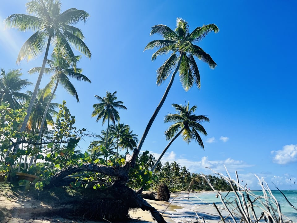 Strand Bahia Principe Grand El Portillo