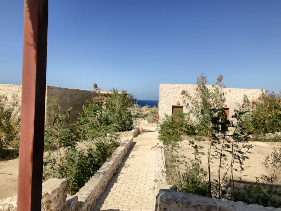 Blick von der Terrasse aus einem der hinteren Zimm The Oasis Dive Resort