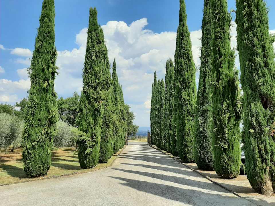 Sonstiges Hotel Casolare le Terre Rosse