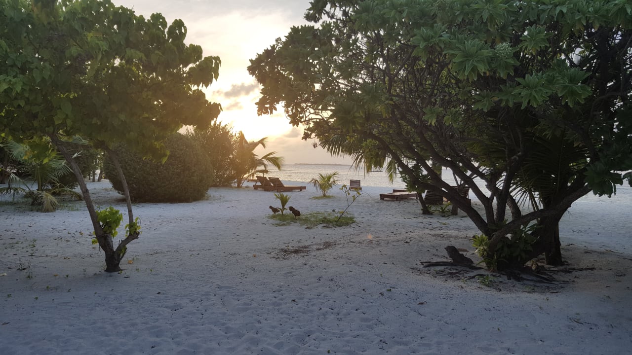 Außenansicht Adaaran Select Meedhupparu Island Resort - Premium All Inclusive