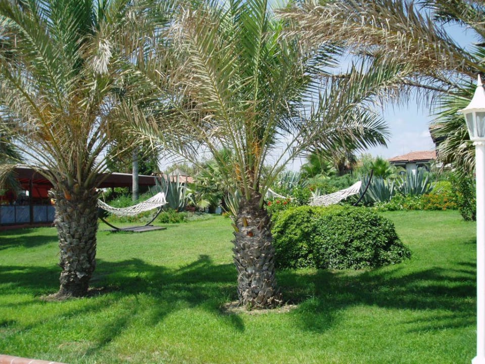 Ogród Hotel Club Nena