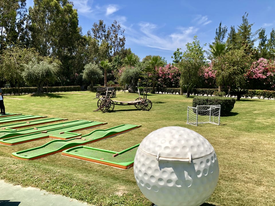 Sport & Freizeit Crystal Sunset Pearl Collection