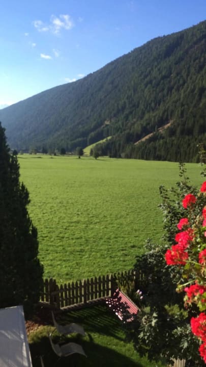 View from room 12 Der Wiesenhof