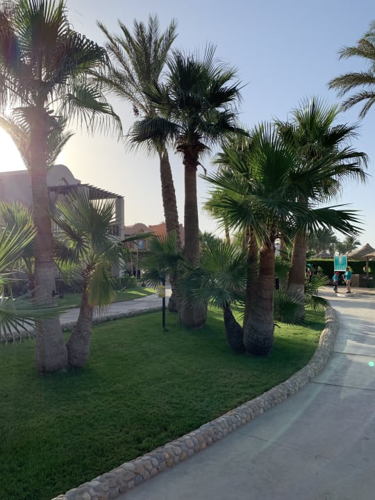 Strand Jaz Makadi Oasis Resort