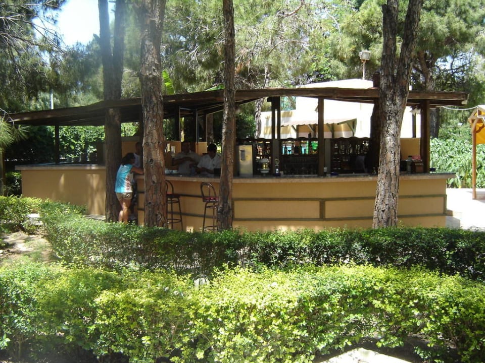 Poolbar Asteria Collection Side