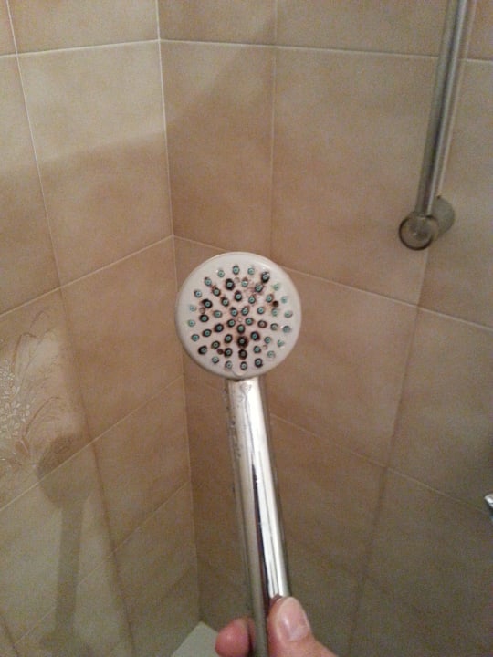 Schimmel am Duschkopf Hotel Diana