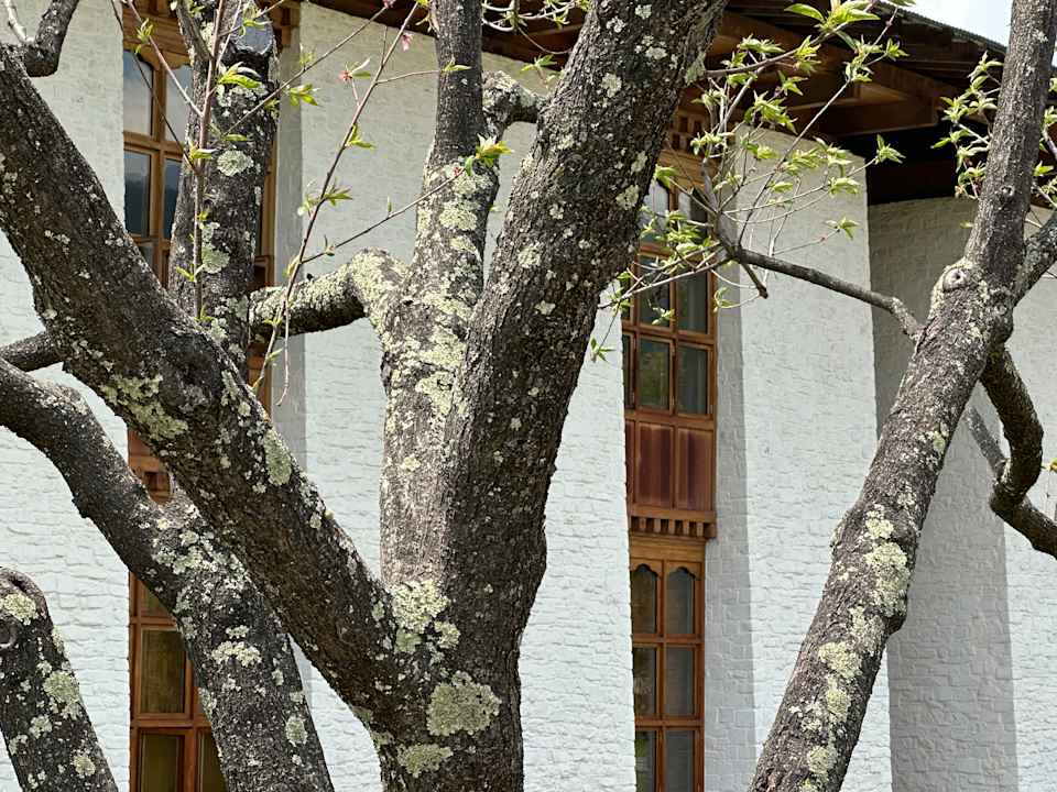Außenansicht Amankora Bumthang Lodge