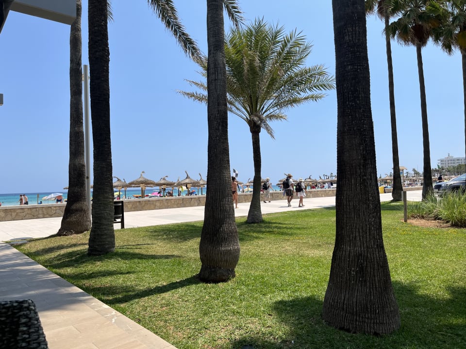 Strand Hipotels Mediterraneo Club