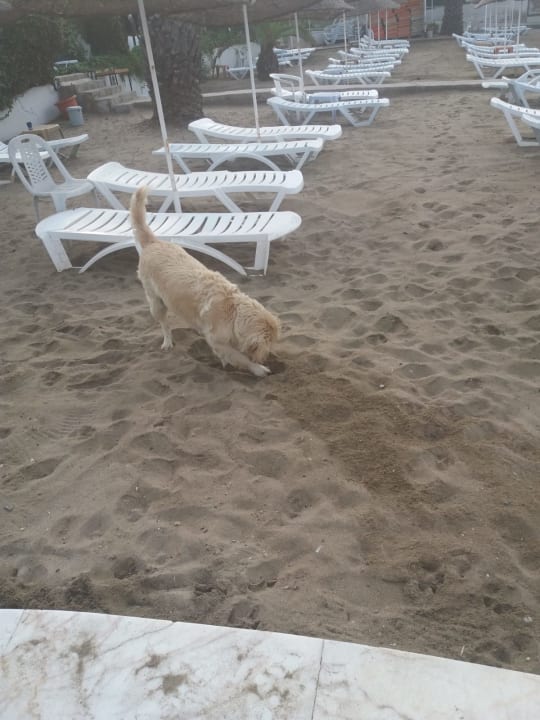 Strand Dogan Paradise Beach