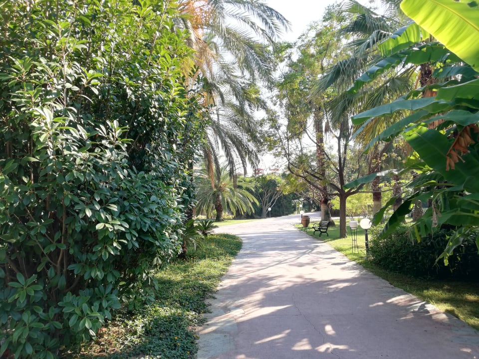 Garten Starlight Resort Hotel