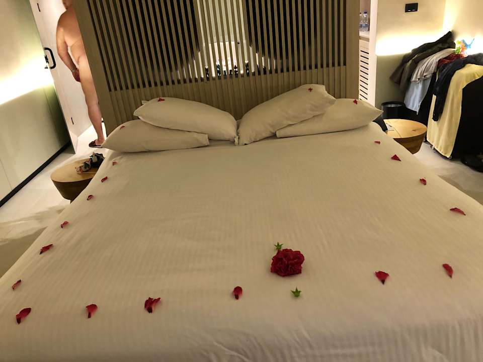 Zimmer Calimera Blend Paradise