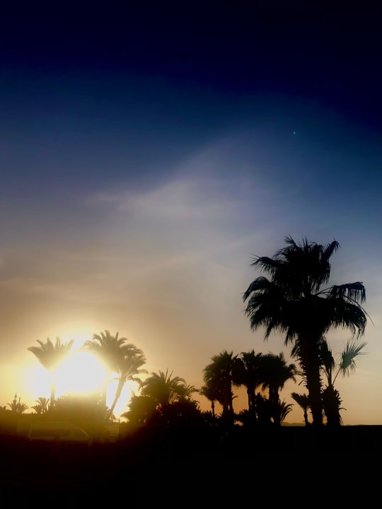 Ausblick Utopia Beach Club