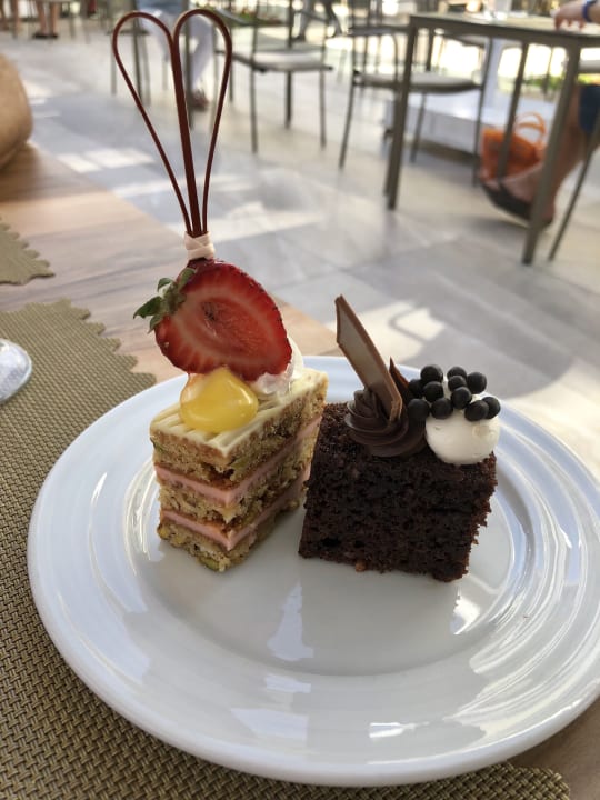 Gastro Acanthus Cennet Barut Collection