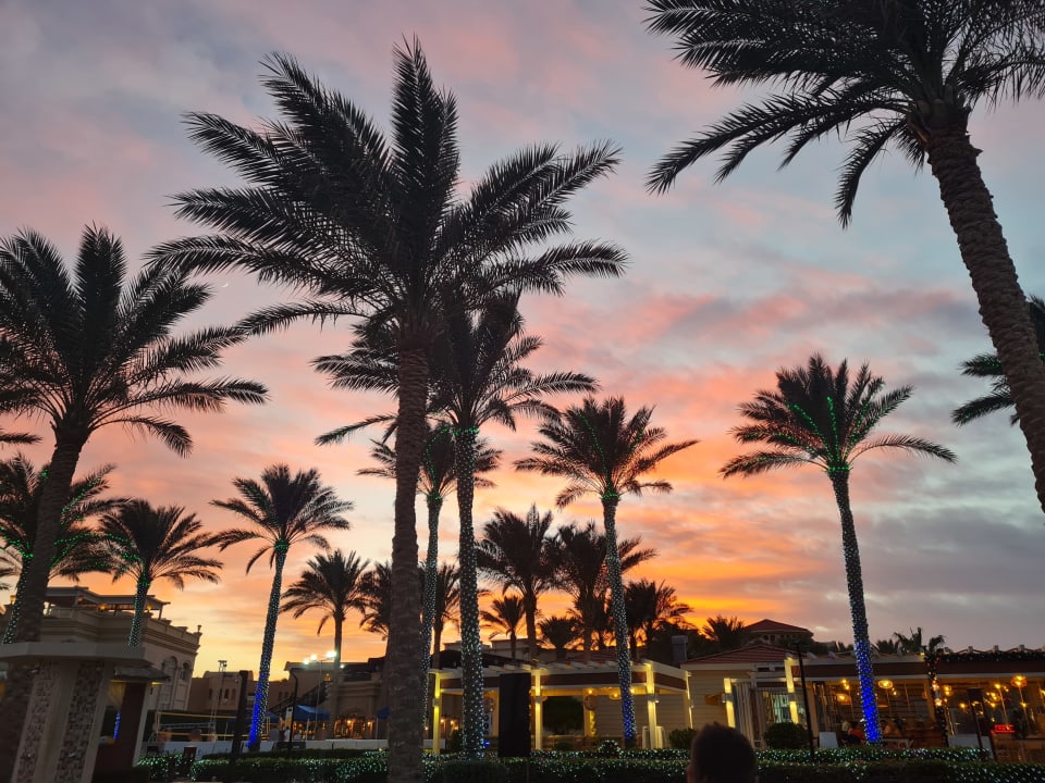 Gartenanlage Rixos Sharm El Sheikh Adults Only 18 +