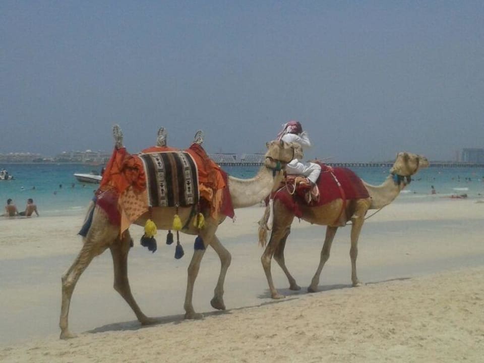 Kamele Delta Hotels by Marriott Jumeirah Beach