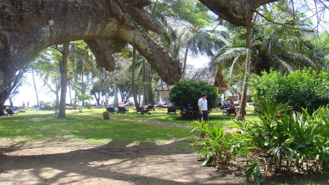 Сад Hotel Papillon Lagoon Reef