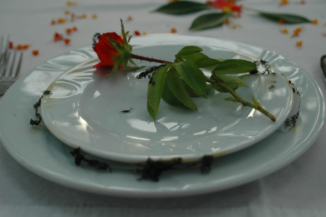 Überraschung am Tisch. Hane Family Resort