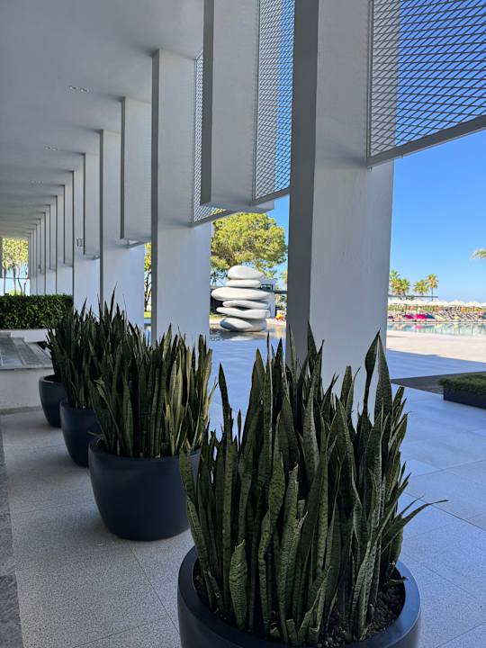 Außenansicht Paloma Finesse