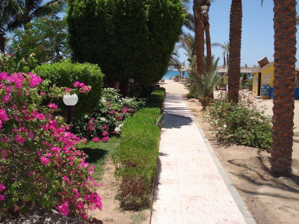 Weg zum Strand! Giftun Azur Resort